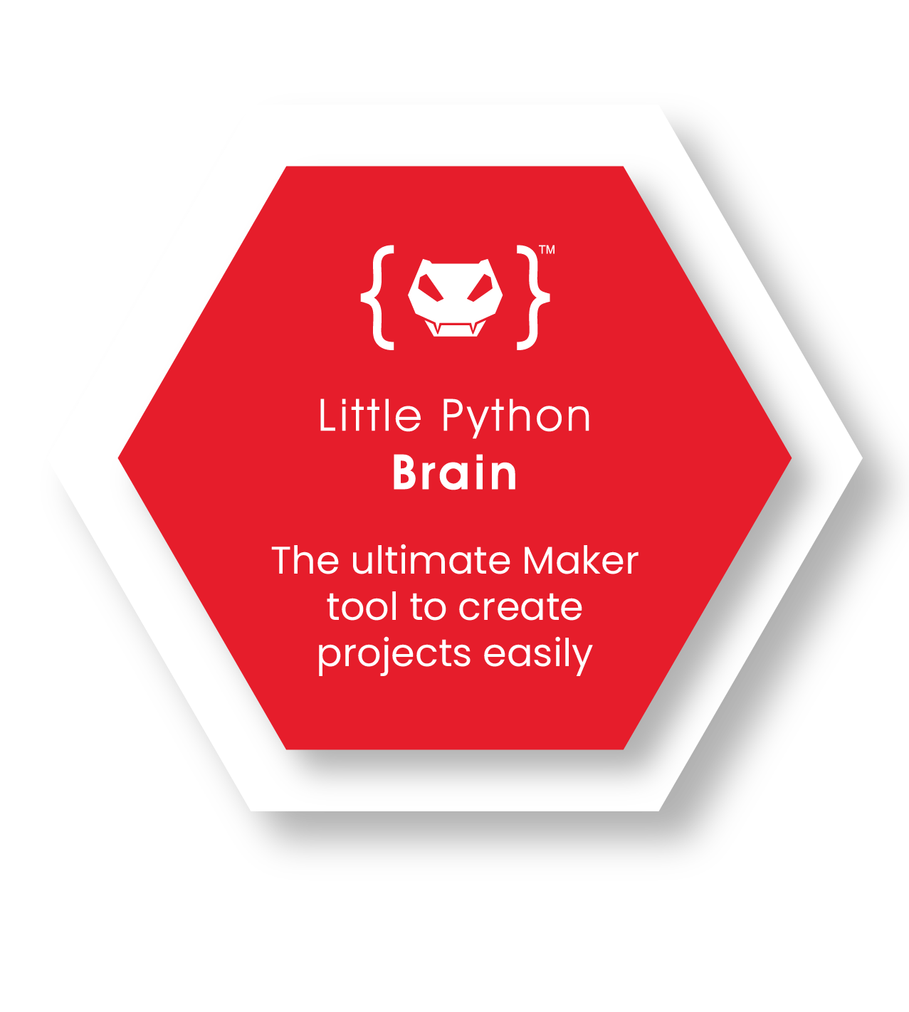 Little Python – The Complete Maker Platform for you