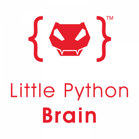 Little Python – The Complete Maker Platform for you