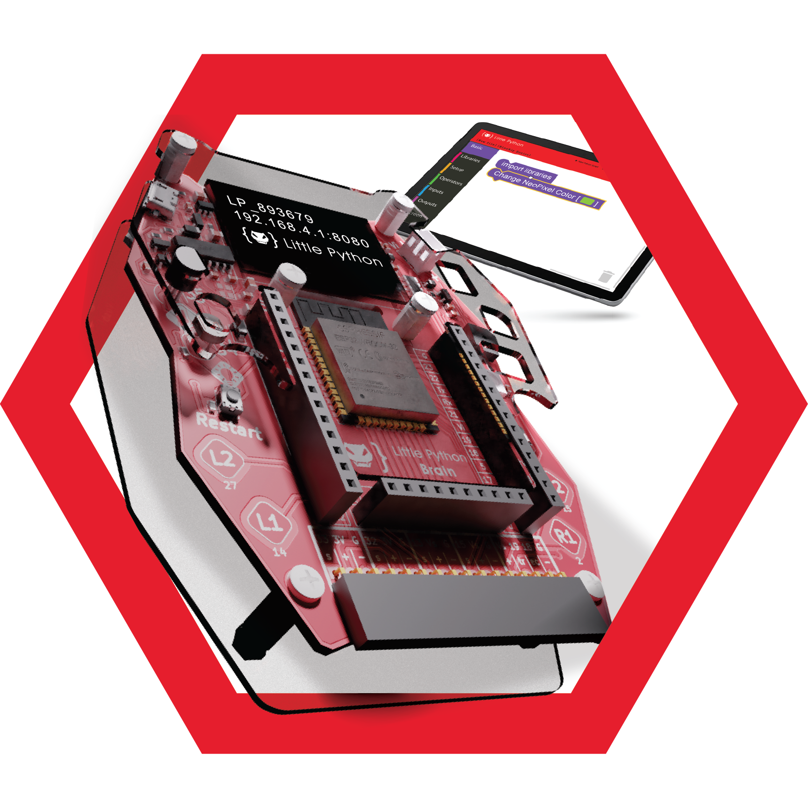 Brain – Little Python