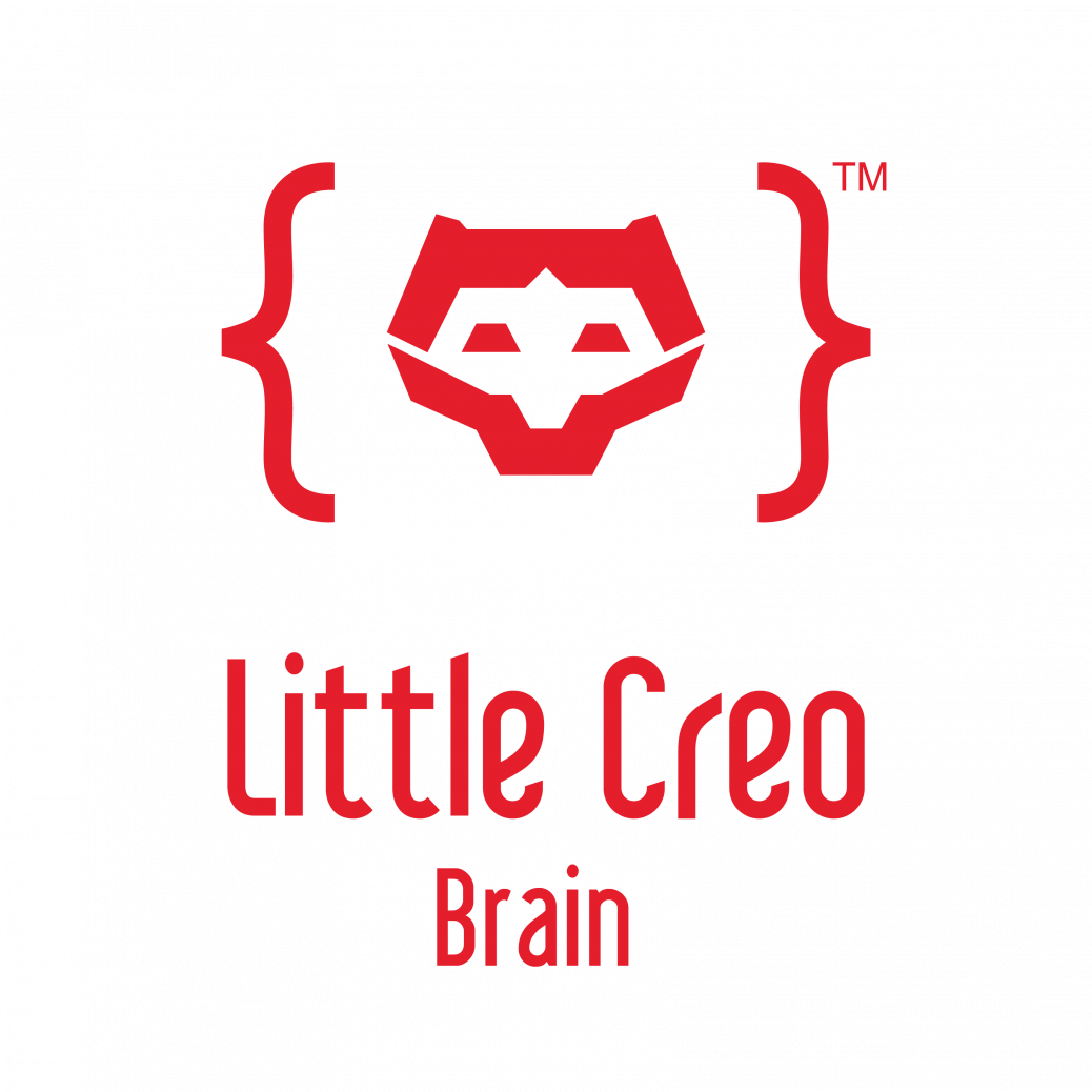 Little Python – The Complete Maker Platform for you