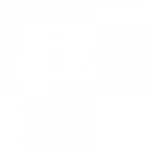 LP Academy Logo 800x800 white-01